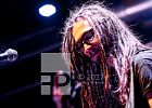 Ice Brickz Ice Brickz live im Backstage Club | Emergenza München 1st Step No.9 | 31.03.2017