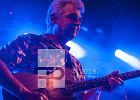 The 203 live in der Backstage Halle The 203 live im im der Backstage Halle | Emergenza 2018 | Bayernfinale | 30-6-2018 | © Tobias Tschepe