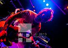 Wowie Zowie live im Backstage Club München Wowie Zowie live im Backstage Club | Emergenza 2019 | 1st Step No.7 | 30-3-2019 | © Tobias Tschepe